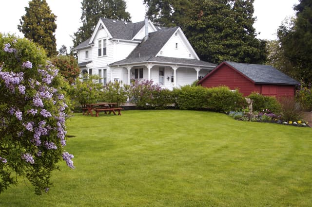 House with yard and lilacs